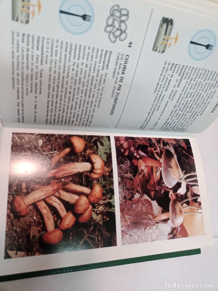 Libros de segunda mano: GIOVANNI PACIONI Guia de los hongos SA7413 - Foto 2