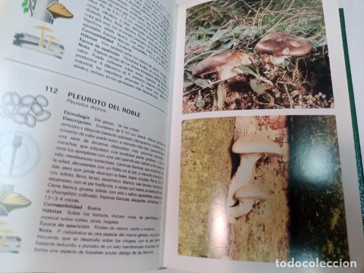 Libros de segunda mano: GIOVANNI PACIONI Guia de los hongos SA7413 - Foto 3