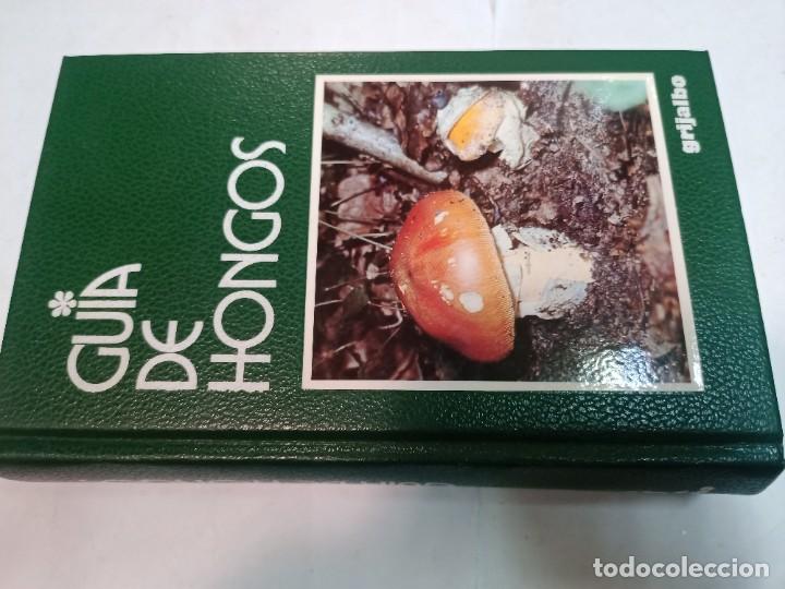 Libros de segunda mano: GIOVANNI PACIONI Guia de los hongos SA7413 - Foto 1