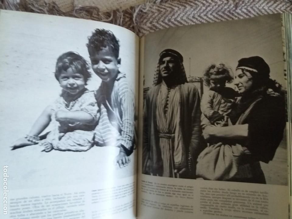 Libros de segunda mano: LAS RAZAS HUMANAS. INSTITUTO GALLACH - Foto 4