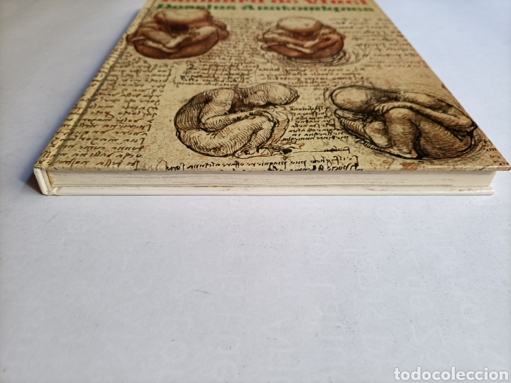 Libros de segunda mano: Leonard de Vinci Dessins Anatomiques Jean Mathe . Libro en franc&eacute;s - Foto 4