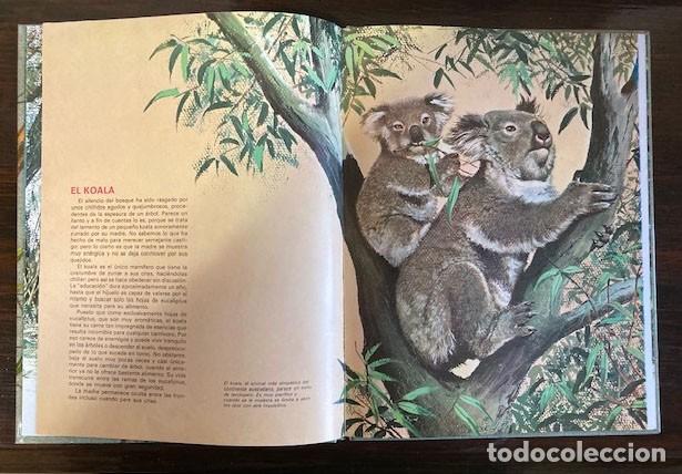 Libros de segunda mano: Animales de Oceania y sus crias - Foto 2