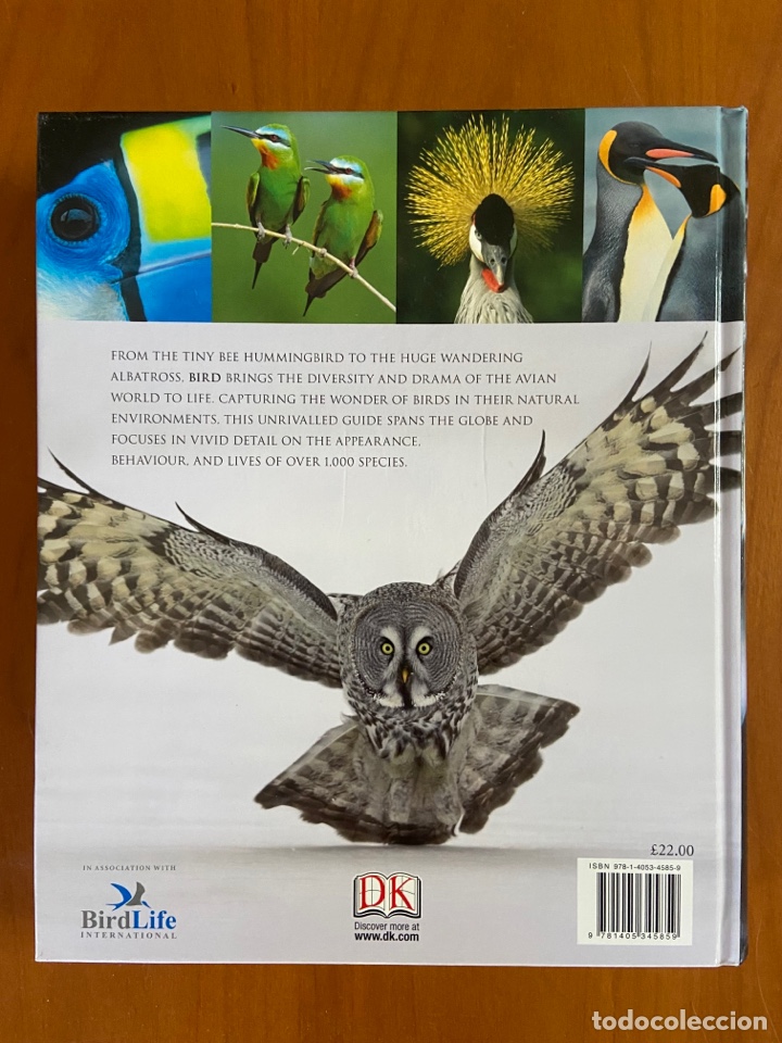 Libros de segunda mano: BIRD - THE DEFINITIVE VISUAL GUIDE - DK BOOKS - Foto 2