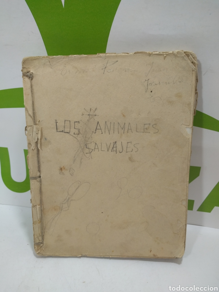 Libros de segunda mano: Los animales salvajes. &Aacute;ngel Cabrera. Calpe. - Foto 1
