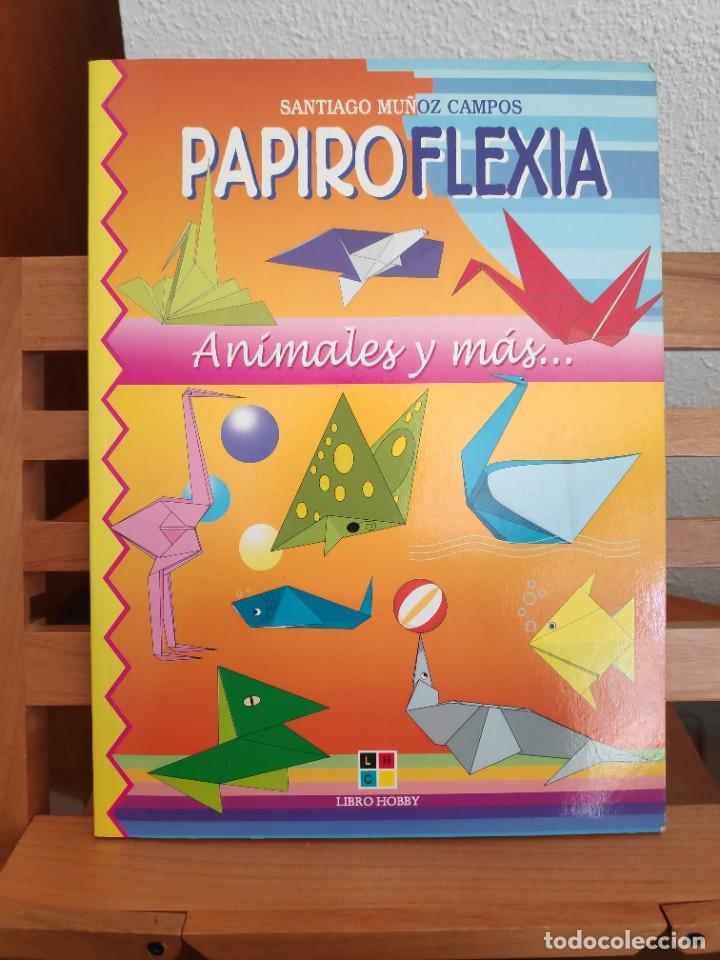 Libros de segunda mano: Papiroflexia, Santiago Mu&ntilde;oz Campos, Libro-Hobby - Foto 1