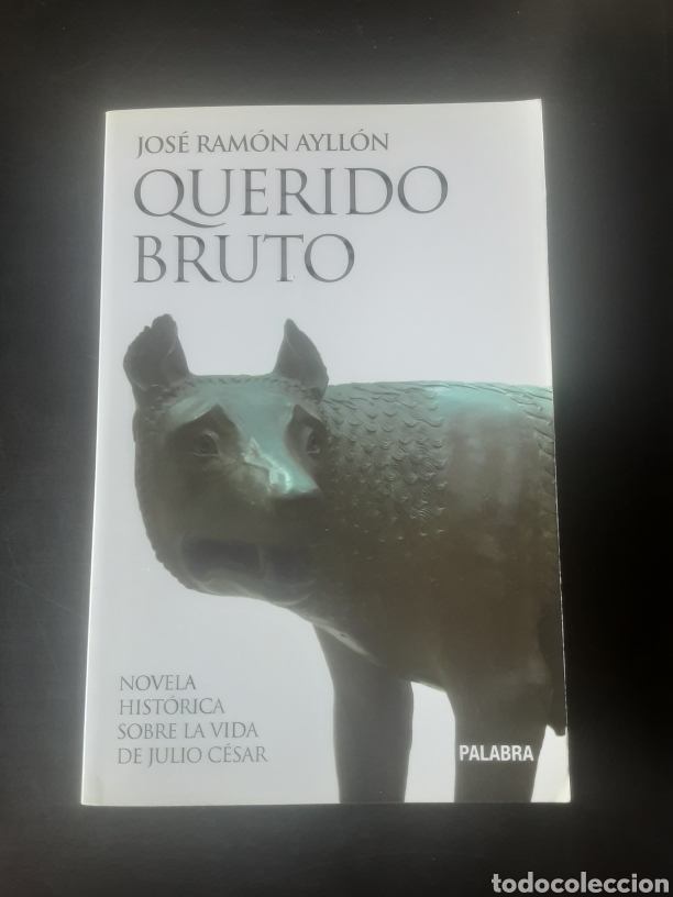 Libros de segunda mano: Querido bruto -Jos&eacute; Ram&oacute;n Ayllon- - Foto 1