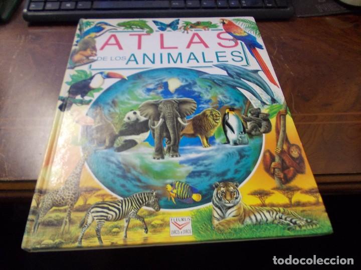 Libros de segunda mano: Atlas de los animales. Fleurus 1&ordf; ed. marzo 1.998 - Foto 1