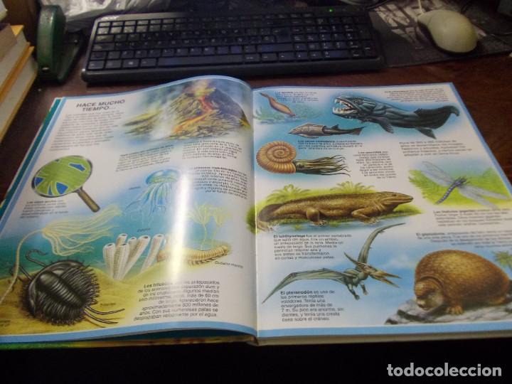 Libros de segunda mano: Atlas de los animales. Fleurus 1&ordf; ed. marzo 1.998 - Foto 5
