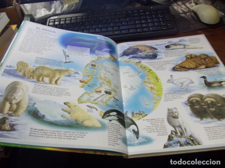 Libros de segunda mano: Atlas de los animales. Fleurus 1&ordf; ed. marzo 1.998 - Foto 6