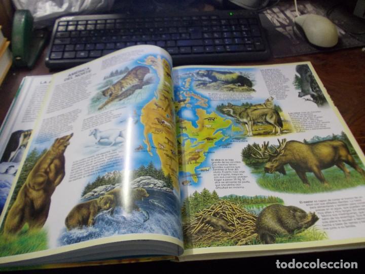 Libros de segunda mano: Atlas de los animales. Fleurus 1&ordf; ed. marzo 1.998 - Foto 7