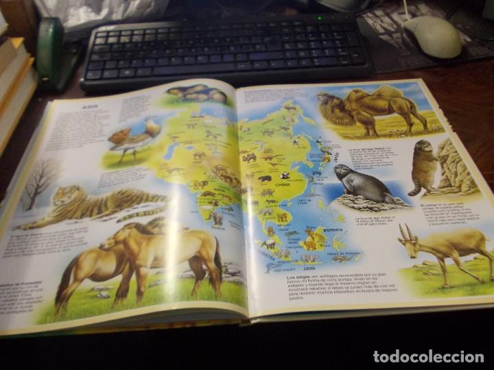 Libros de segunda mano: Atlas de los animales. Fleurus 1&ordf; ed. marzo 1.998 - Foto 8