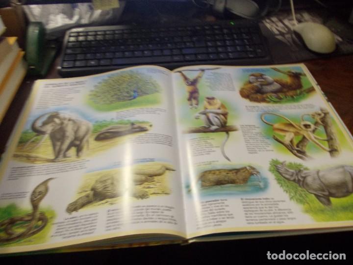 Libros de segunda mano: Atlas de los animales. Fleurus 1&ordf; ed. marzo 1.998 - Foto 9