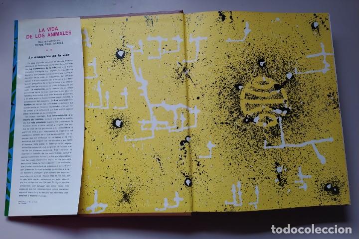 Libros de segunda mano: LA VIDA DE LOS ANIMALES A&Ntilde;O 1970 DOS TOMOS - Foto 3