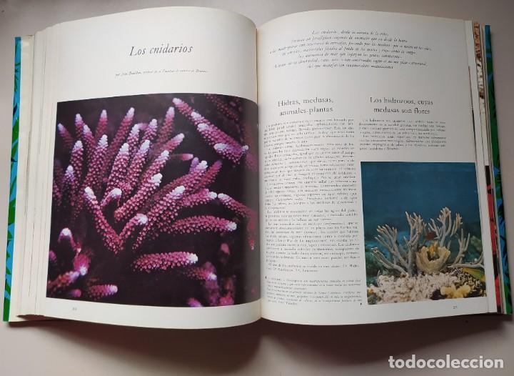 Libros de segunda mano: LA VIDA DE LOS ANIMALES A&Ntilde;O 1970 DOS TOMOS - Foto 6
