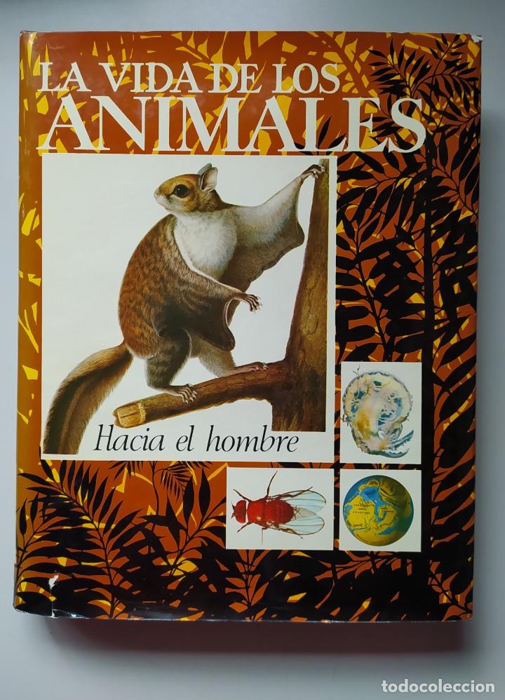 Libros de segunda mano: LA VIDA DE LOS ANIMALES A&Ntilde;O 1970 DOS TOMOS - Foto 7