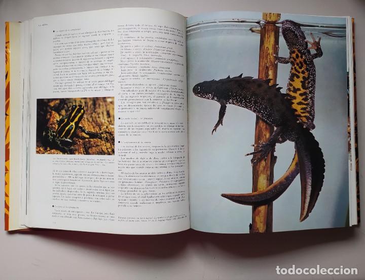Libros de segunda mano: LA VIDA DE LOS ANIMALES A&Ntilde;O 1970 DOS TOMOS - Foto 10