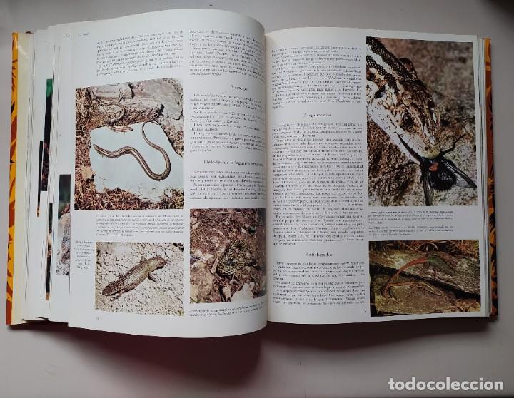 Libros de segunda mano: LA VIDA DE LOS ANIMALES A&Ntilde;O 1970 DOS TOMOS - Foto 11