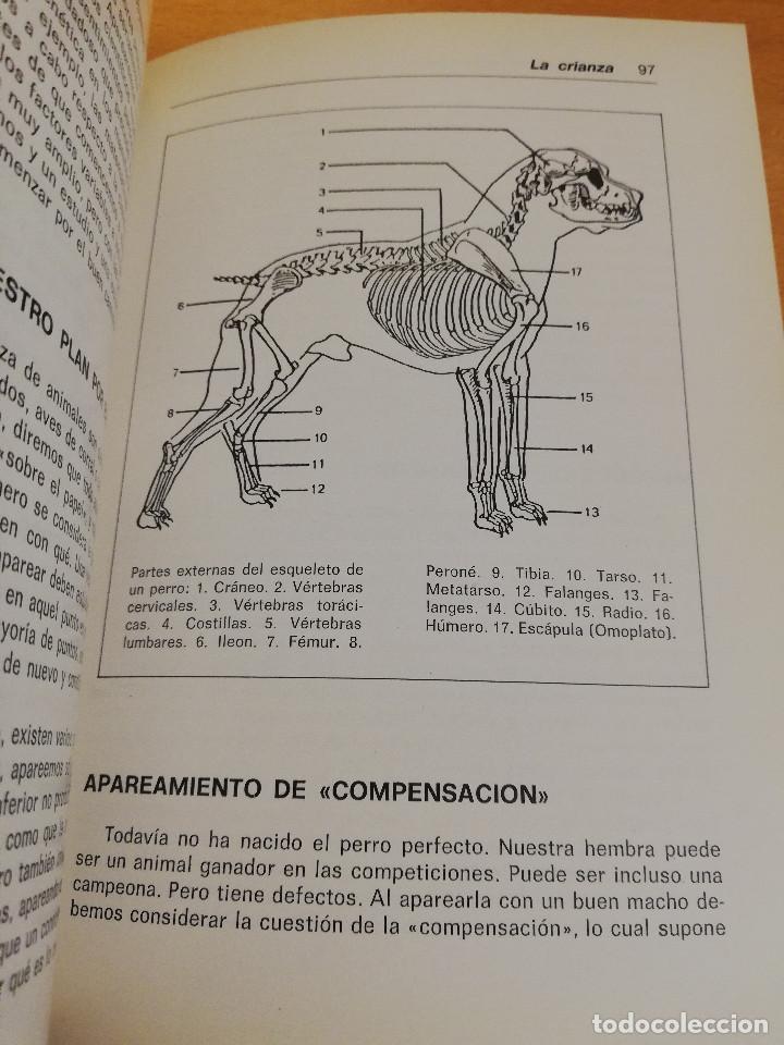 Libros de segunda mano: EL SCHNAUZER MINIATURA (JOHN NEGHO) - Foto 7