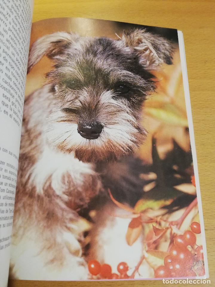 Libros de segunda mano: EL SCHNAUZER MINIATURA (JOHN NEGHO) - Foto 10