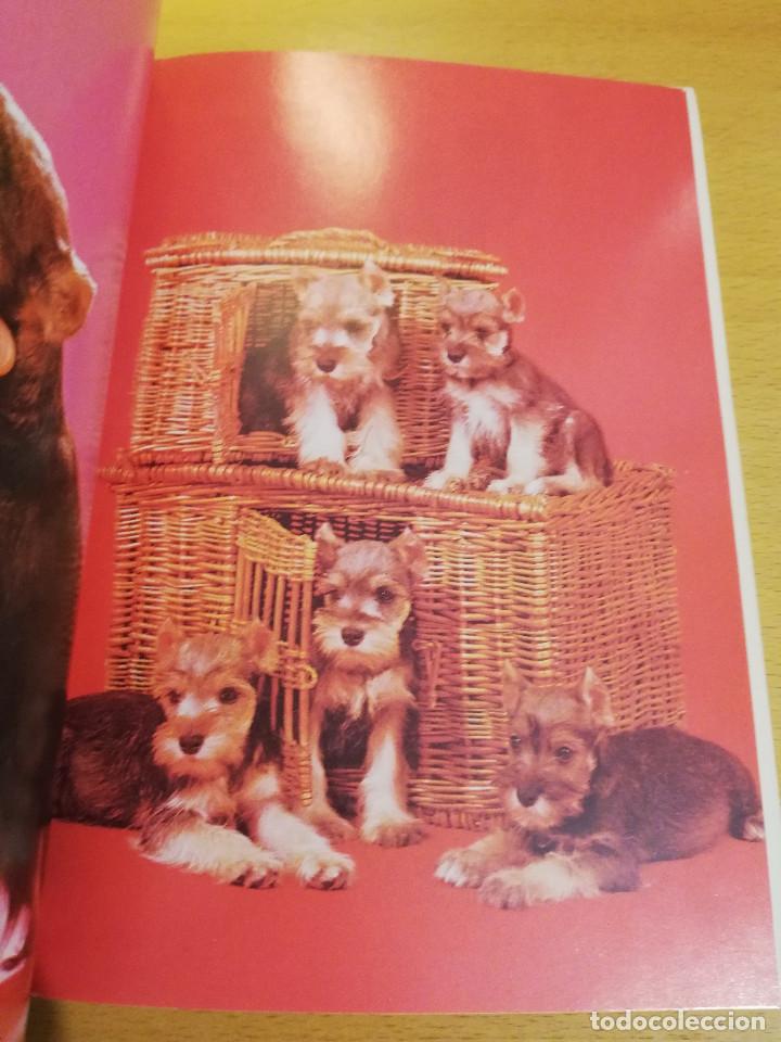 Libros de segunda mano: EL SCHNAUZER MINIATURA (JOHN NEGHO) - Foto 11