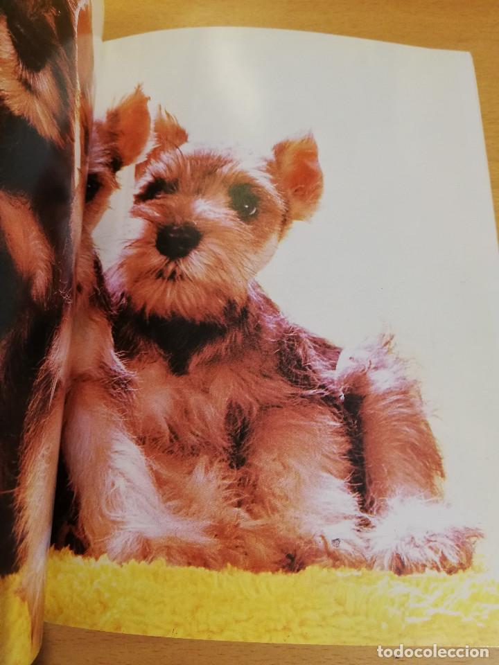 Libros de segunda mano: EL SCHNAUZER MINIATURA (JOHN NEGHO) - Foto 12