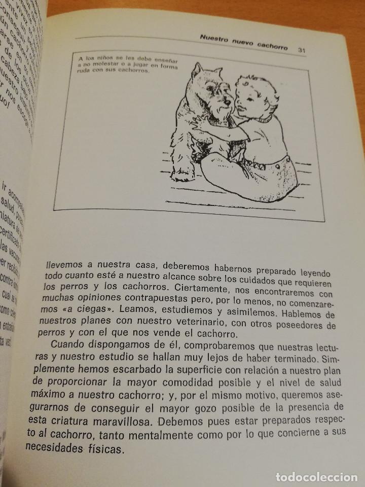 Libros de segunda mano: EL SCHNAUZER MINIATURA (JOHN NEGHO) - Foto 13