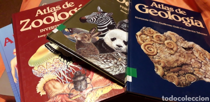 Libros de segunda mano: COLECCI&Oacute;N ATLAS DE CIENCIAS, I, EDIBOOK, - Foto 2