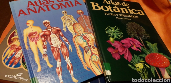 Libros de segunda mano: COLECCI&Oacute;N ATLAS DE CIENCIAS, I, EDIBOOK, - Foto 3