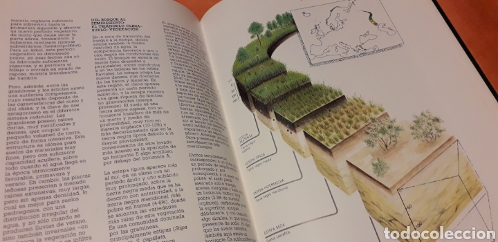 Libros de segunda mano: COLECCI&Oacute;N ATLAS DE CIENCIAS, I, EDIBOOK, - Foto 4