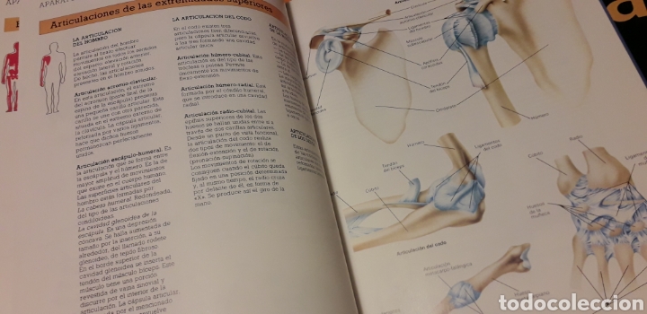 Libros de segunda mano: COLECCI&Oacute;N ATLAS DE CIENCIAS, I, EDIBOOK, - Foto 5
