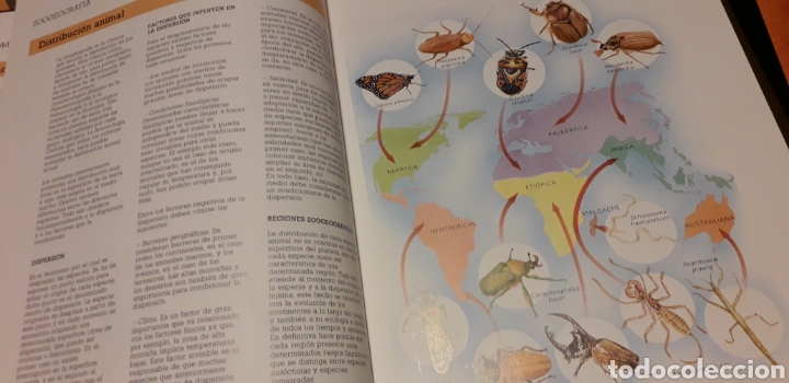 Libros de segunda mano: COLECCI&Oacute;N ATLAS DE CIENCIAS, I, EDIBOOK, - Foto 8