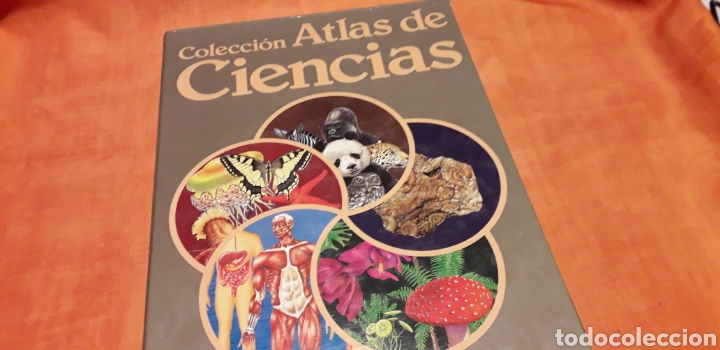 Libros de segunda mano: COLECCI&Oacute;N ATLAS DE CIENCIAS, I, EDIBOOK, - Foto 1