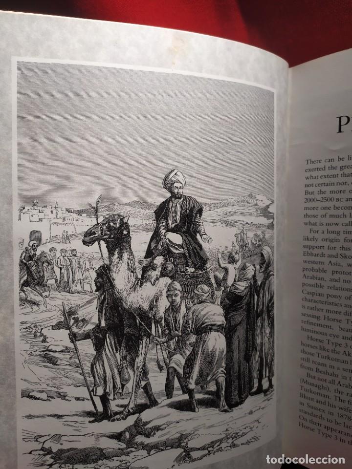 Libros de segunda mano: 1987. Horses. Elwyn Hartley Edwards. - Foto 7