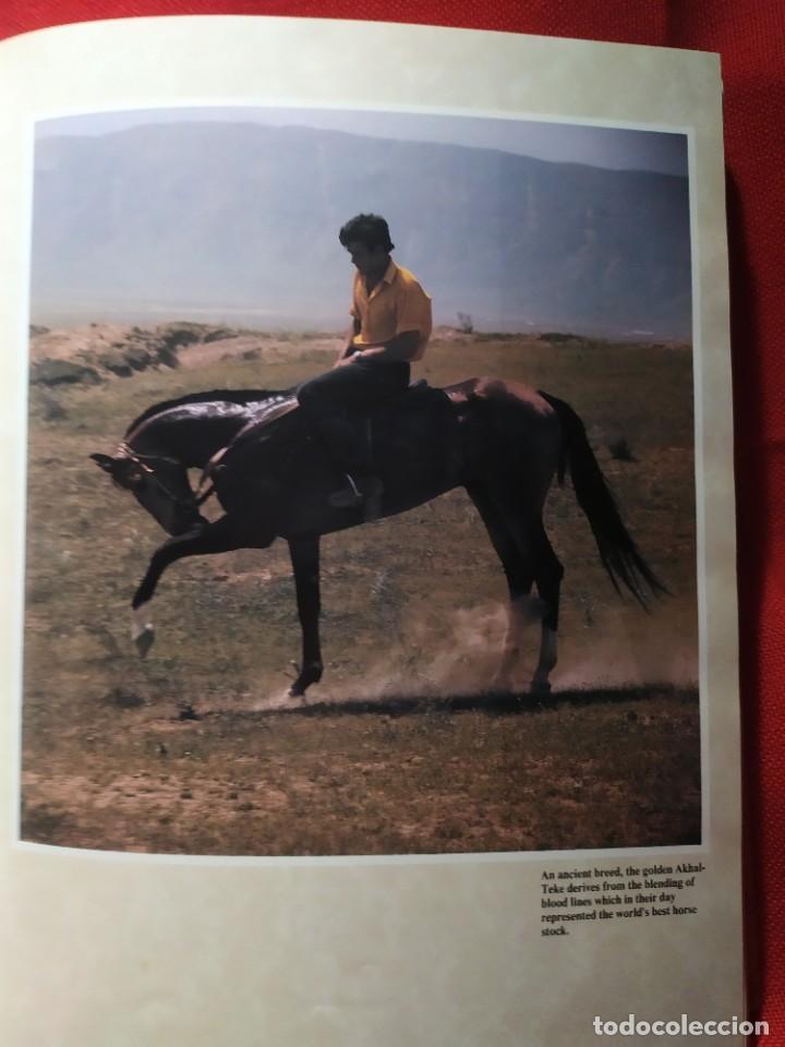 Libros de segunda mano: 1987. Horses. Elwyn Hartley Edwards. - Foto 8