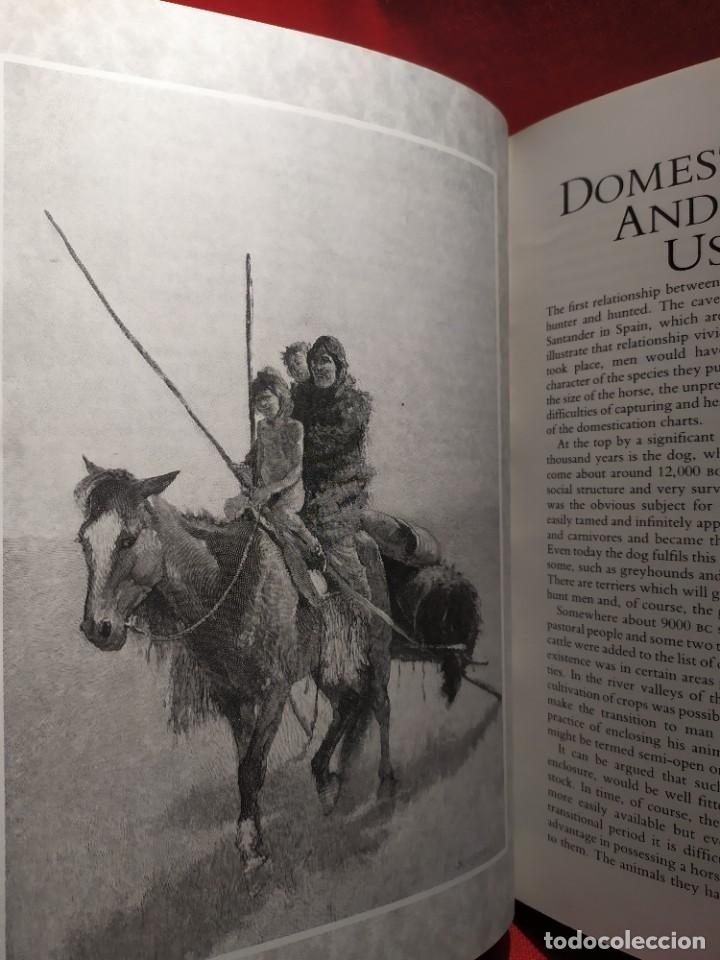 Libros de segunda mano: 1987. Horses. Elwyn Hartley Edwards. - Foto 10
