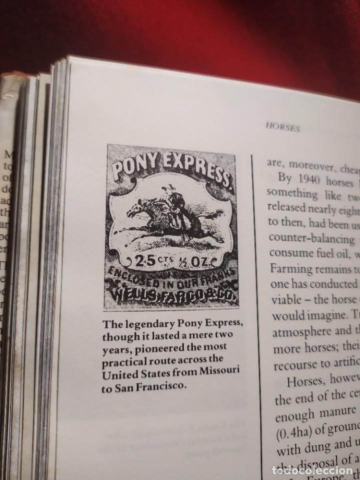 Libros de segunda mano: 1987. Horses. Elwyn Hartley Edwards. - Foto 24