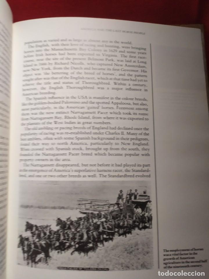 Libros de segunda mano: 1987. Horses. Elwyn Hartley Edwards. - Foto 25