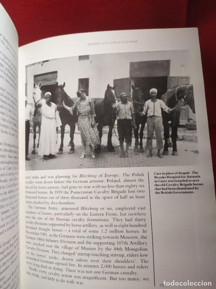 Libros de segunda mano: 1987. Horses. Elwyn Hartley Edwards. - Foto 26