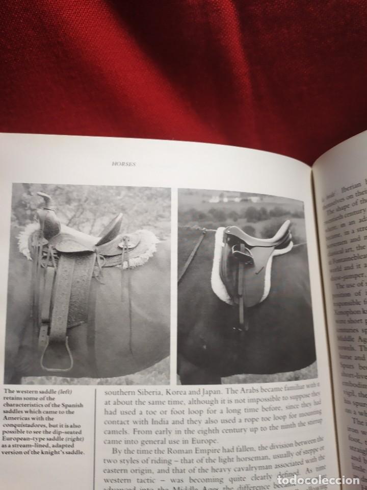 Libros de segunda mano: 1987. Horses. Elwyn Hartley Edwards. - Foto 27