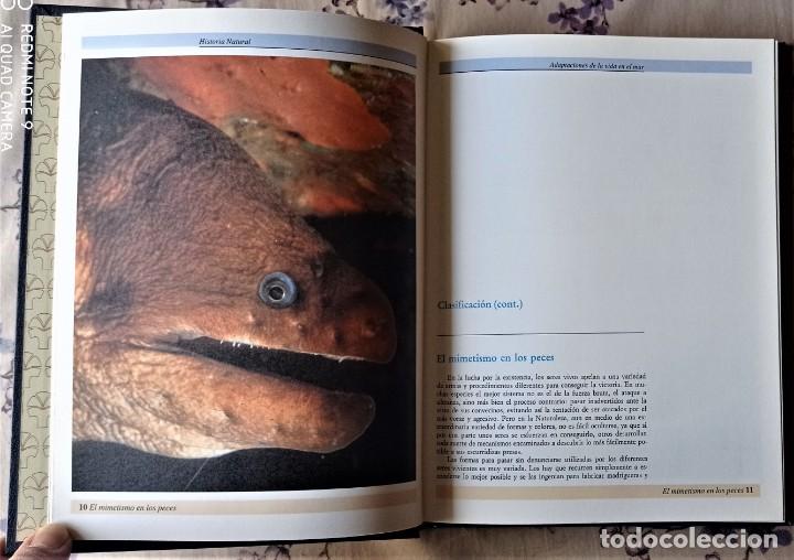 Libros de segunda mano: HISTORIA NATURAL. PECES - AVES. VOLUMEN 4 - Foto 4