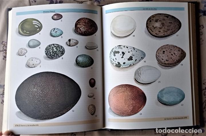 Libros de segunda mano: HISTORIA NATURAL. PECES - AVES. VOLUMEN 4 - Foto 5