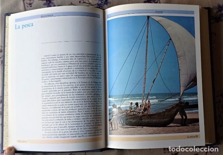 Libros de segunda mano: HISTORIA NATURAL. PECES - AVES. VOLUMEN 4 - Foto 6