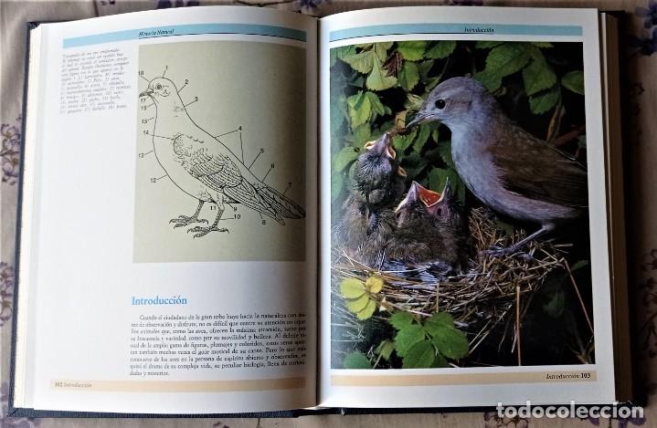 Libros de segunda mano: HISTORIA NATURAL. PECES - AVES. VOLUMEN 4 - Foto 7