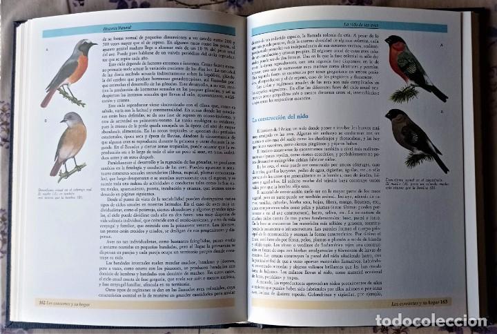Libros de segunda mano: HISTORIA NATURAL. PECES - AVES. VOLUMEN 4 - Foto 8