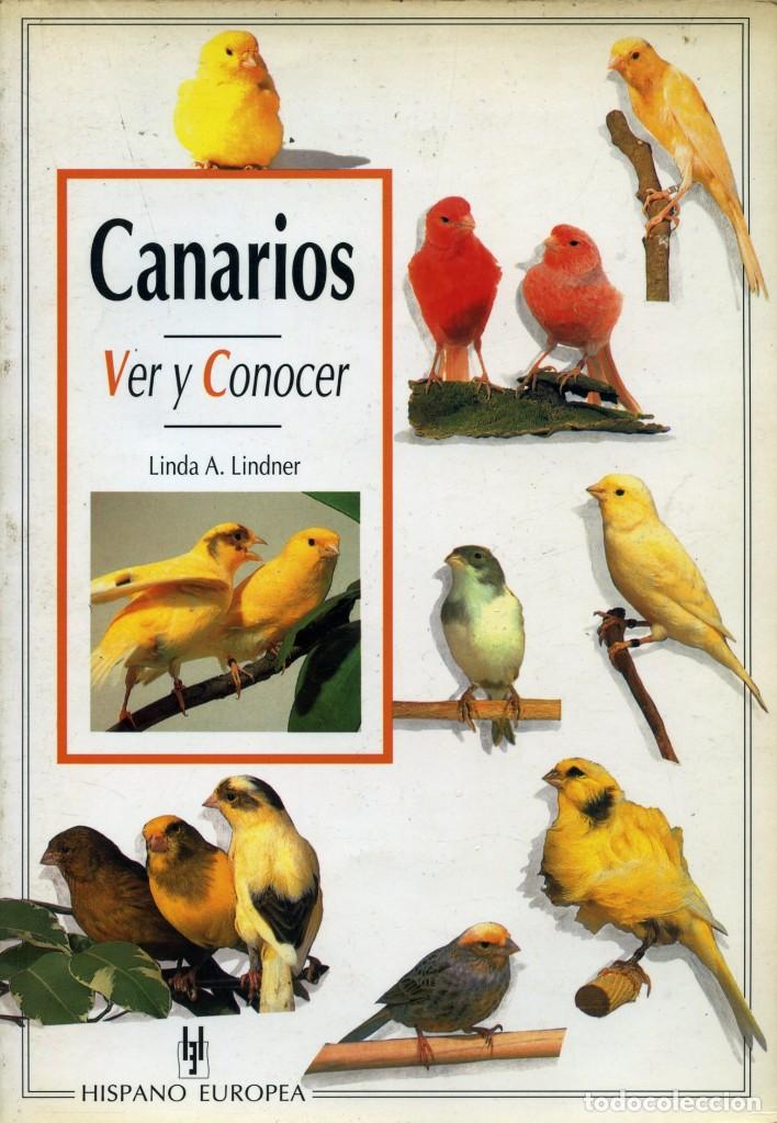 Libros de segunda mano: CANARIOS. Ver y conocer. - Foto 1