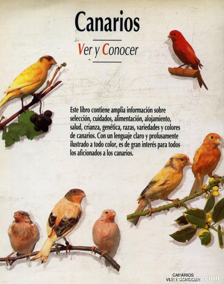 Libros de segunda mano: CANARIOS. Ver y conocer. - Foto 2