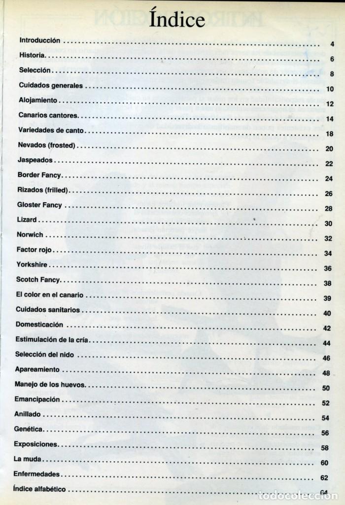 Libros de segunda mano: CANARIOS. Ver y conocer. - Foto 3