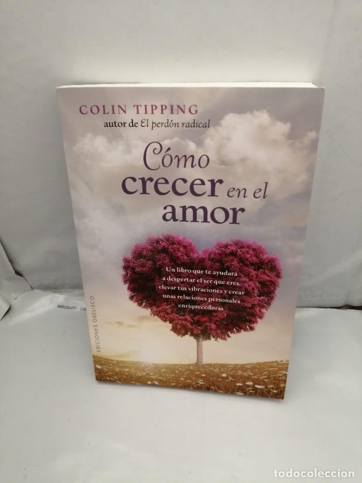 Libros de segunda mano: C&Oacute;MO CRECER EN EL AMOR (PRIMERA EDICI&Oacute;N) - Foto 1