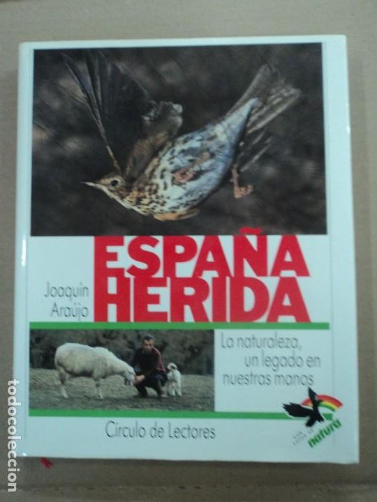 Libros de segunda mano: Espa&ntilde;a Herida - Joaqu&iacute;n Ara&uacute;jo - Foto 1
