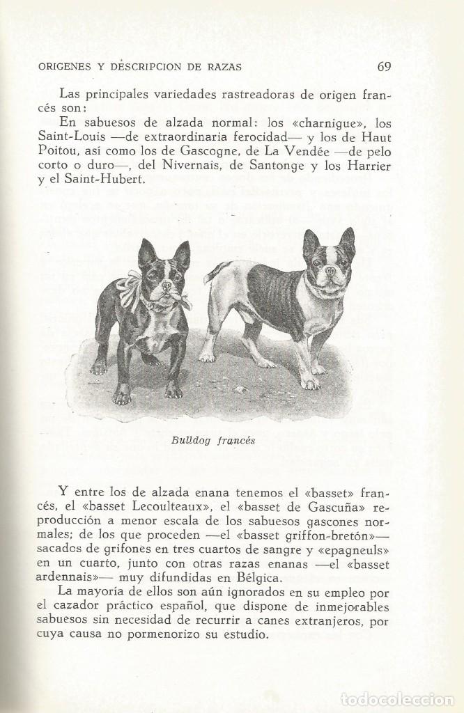 Libros de segunda mano: PERROS DE CAZA-Fernando Huerta Ramirez - Foto 4